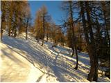 Planina Zajavornik - Debeli vrh above Lipanca